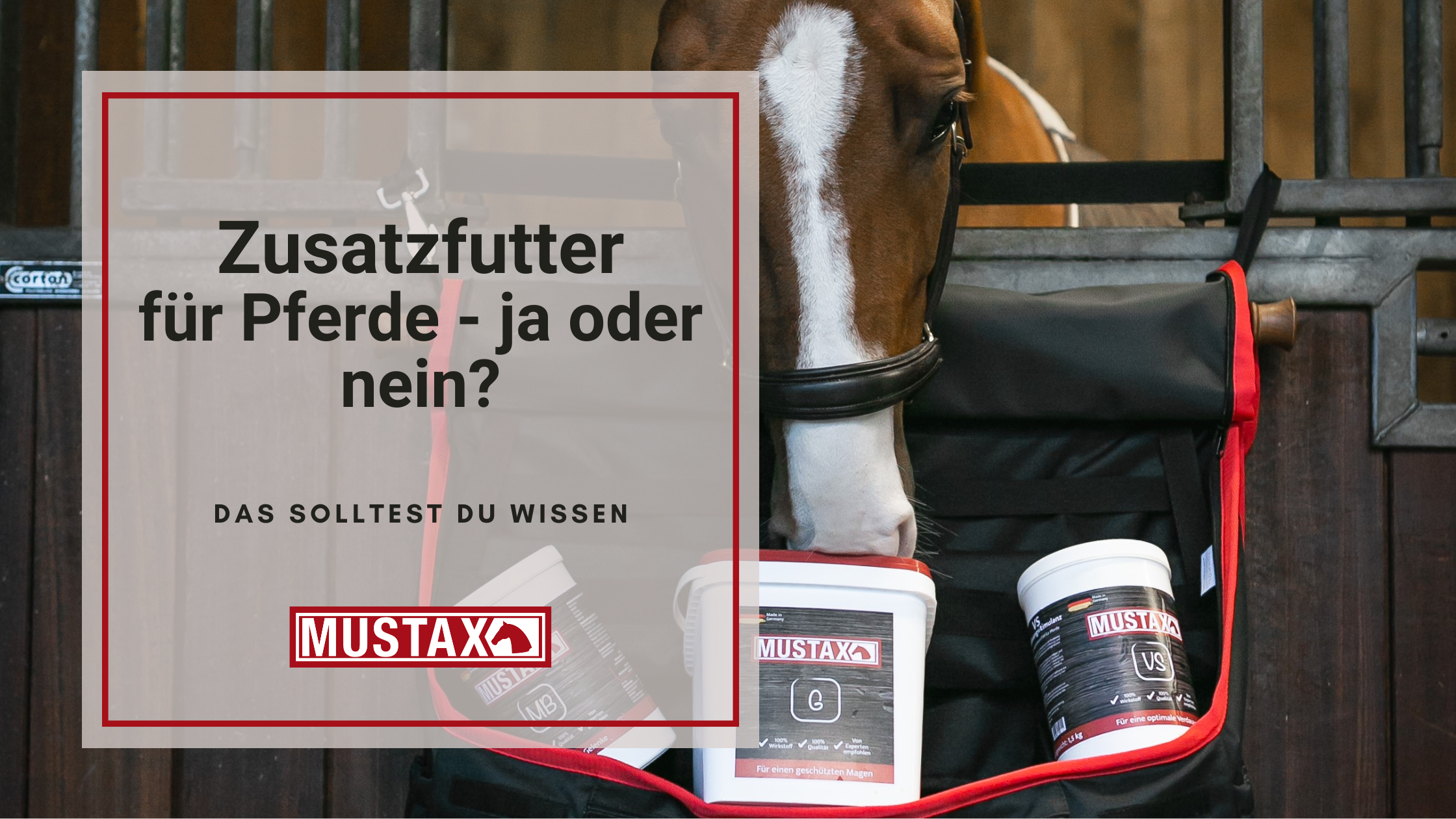 Pferd mit 3 Dosen/Eimern Zusatzfutter von Mustax. Gastro, Verdauungstimulanz und Mobil