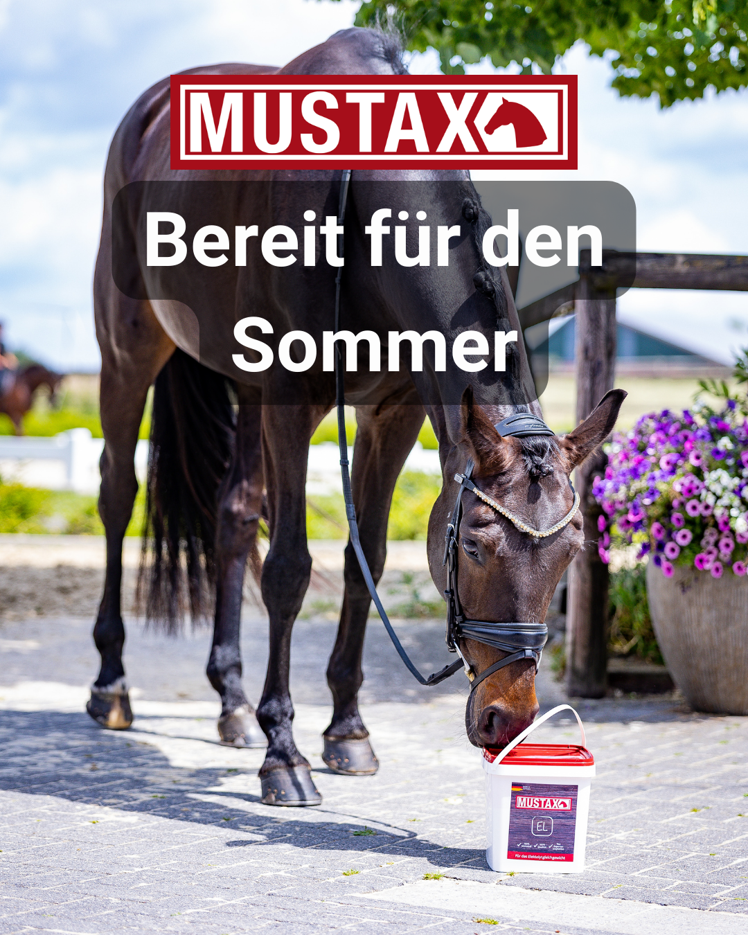 MUSTAX Electrolyte