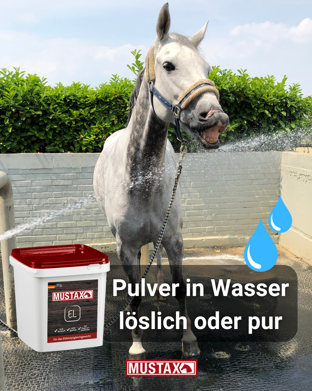 MUSTAX Electrolyte